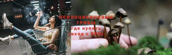крисы Няндома
