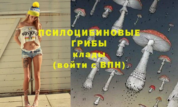 крисы Остров