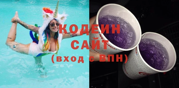 крисы Няндома