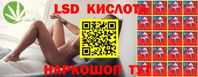 ECSTASY Гатчина