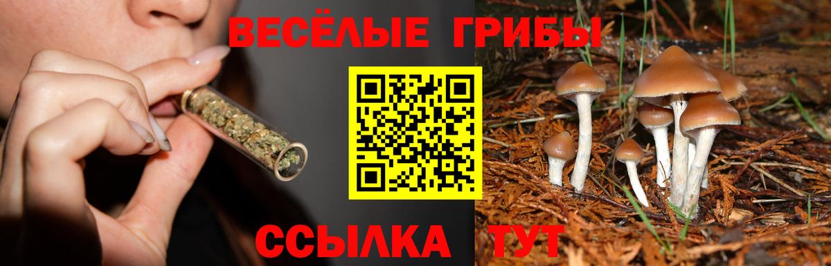 Качканар  Галлюциногенные грибы Magic Shrooms  Вход с VPN 